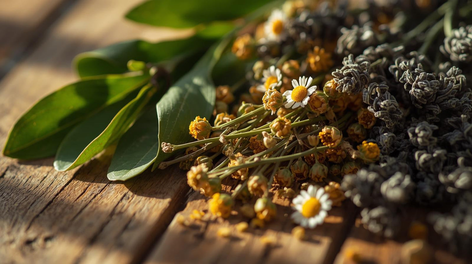 L’equilibrio che calma