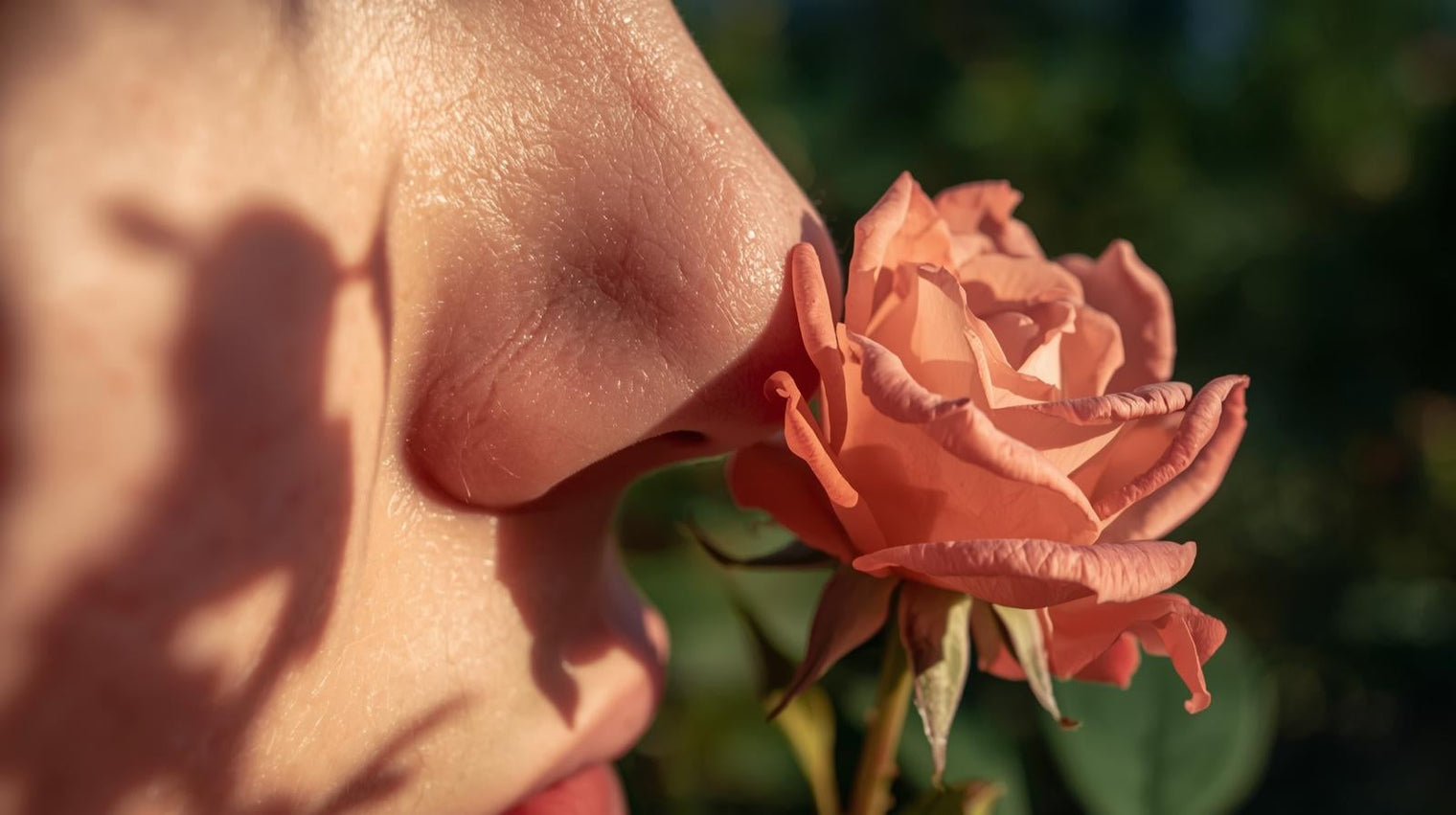 Olfatto: il senso che accende ricordi e regola l’umore